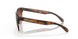 937450 - Brown - Prizm Brown Gradient