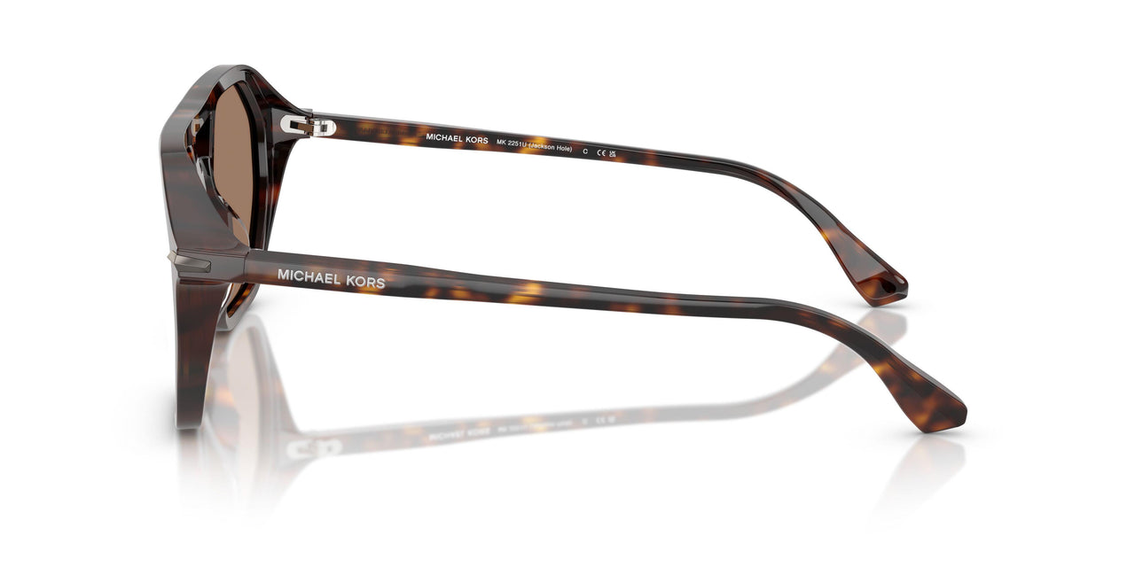 300673 - Tortoise - Brown Solid