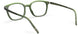 5540 - Deep Green