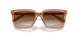 507613 - Brown - Brown Gradient