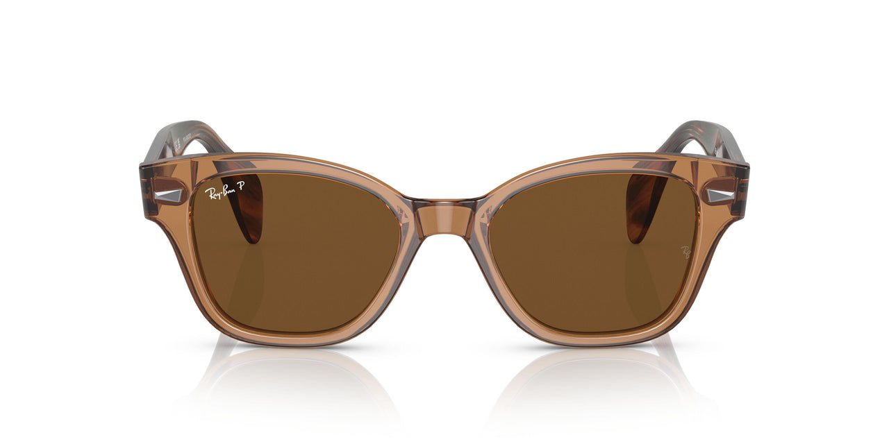 664057 - Brown - Brown Polar