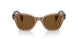 664057 - Brown - Brown Polar