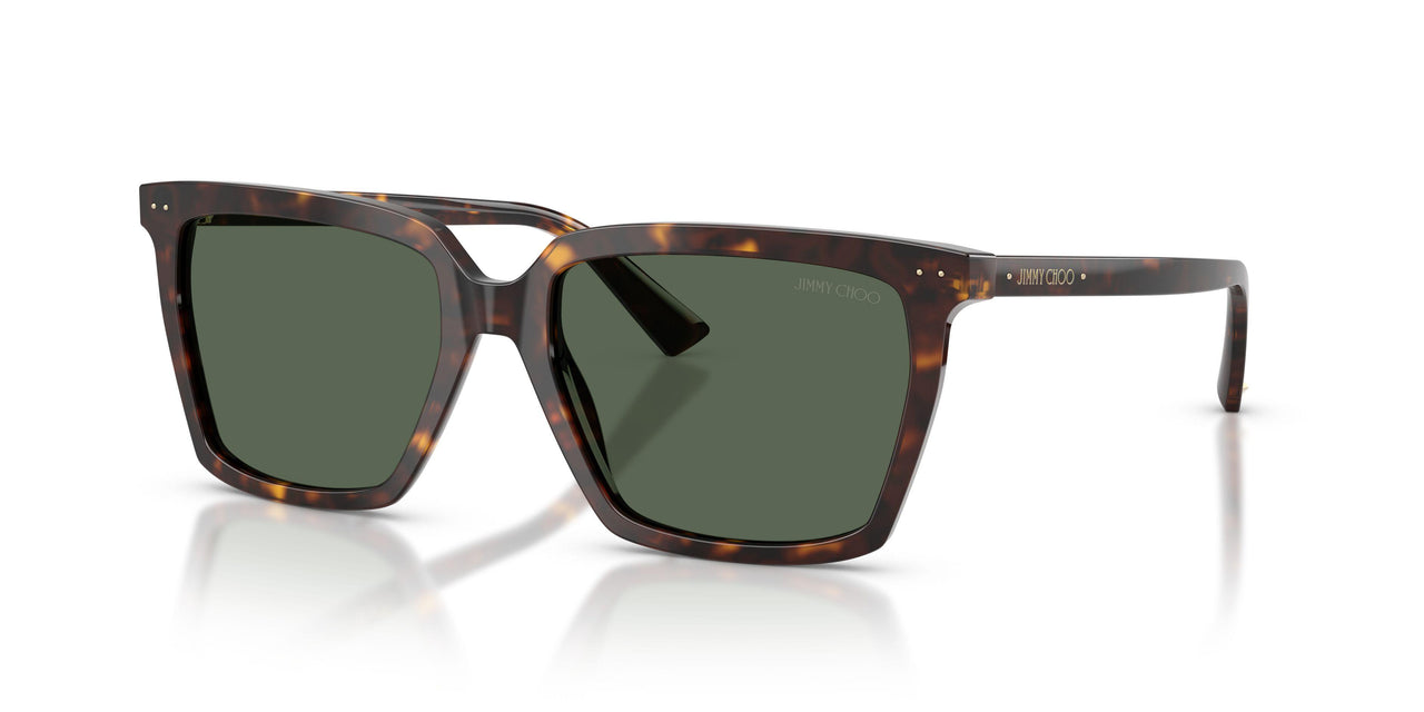 500271 - Tortoise - Dark Green