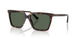 500271 - Tortoise - Dark Green