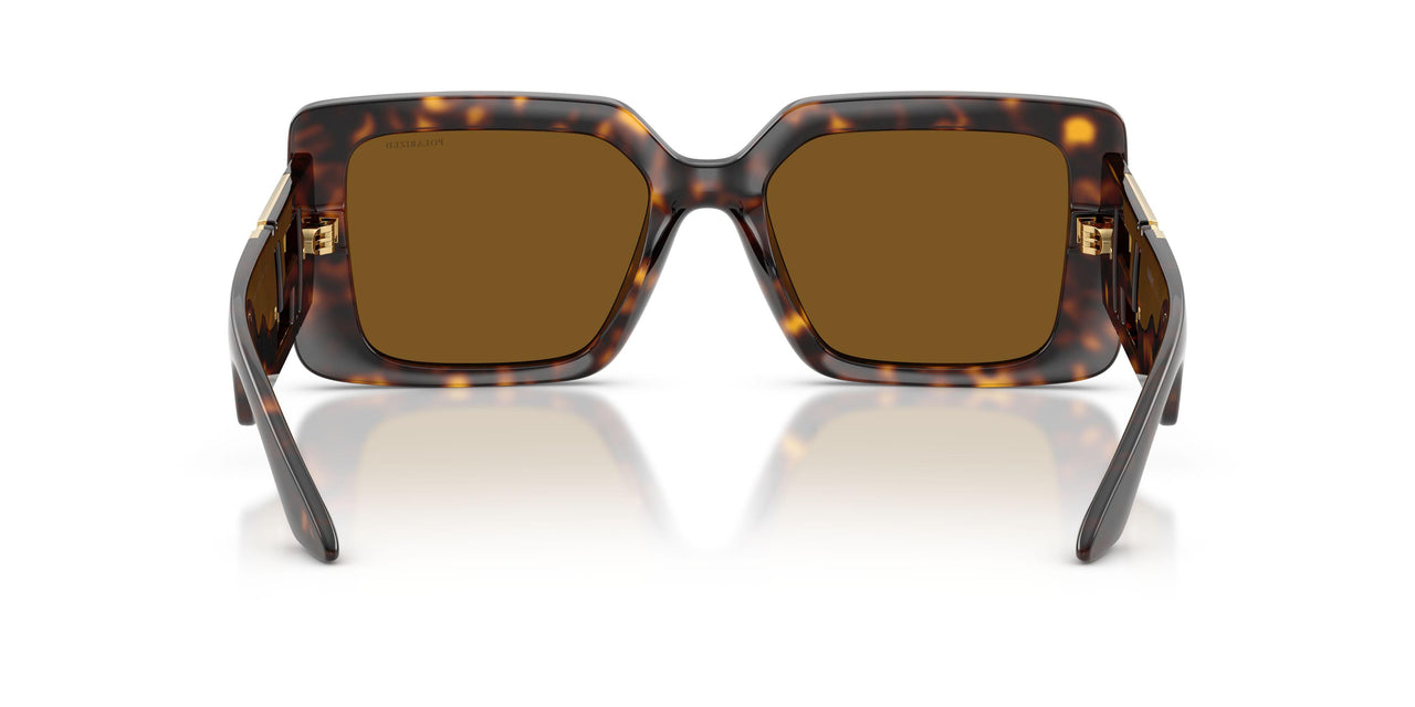 108/83 - Tortoise - Brown Polar