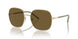 ZVN01T - Gold - Dark Brown