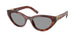 21C40O - Tortoise - Grey