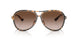 300613 - Havana - Brown Gradient