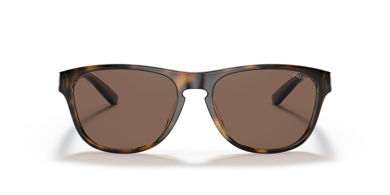 500373 - Havana - Brown