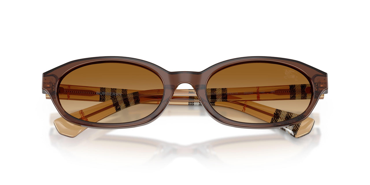 424313 - Brown - Brown Gradient
