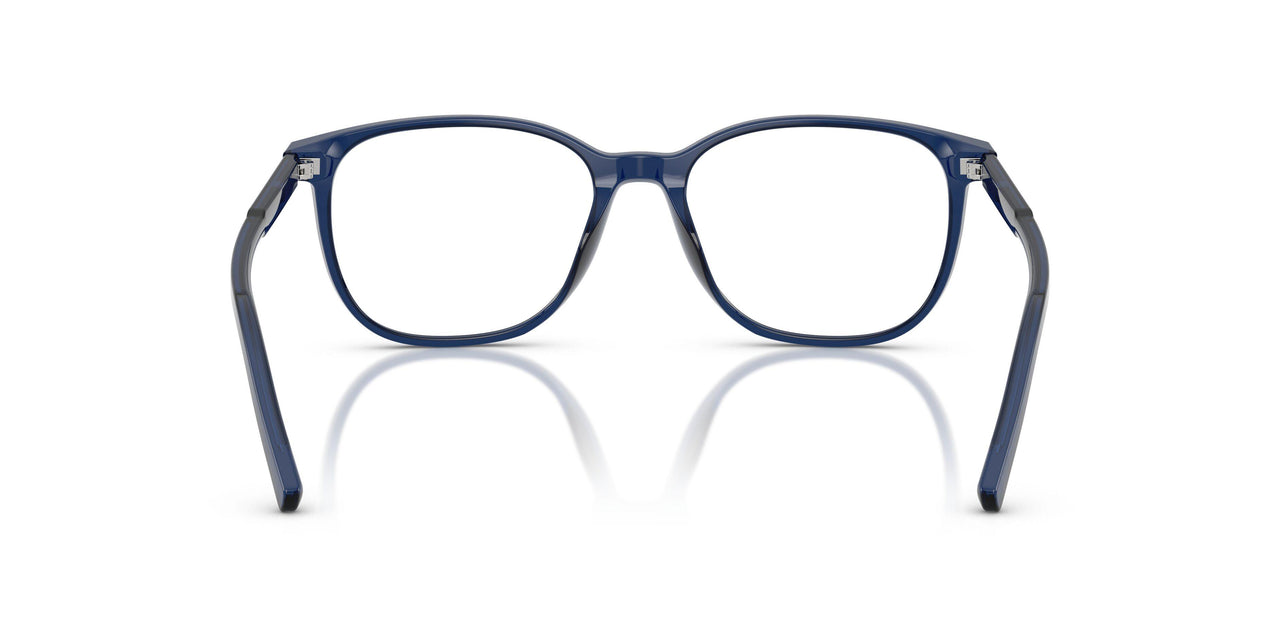 3009 - Blue