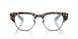 5883 - Tortoise - Clear