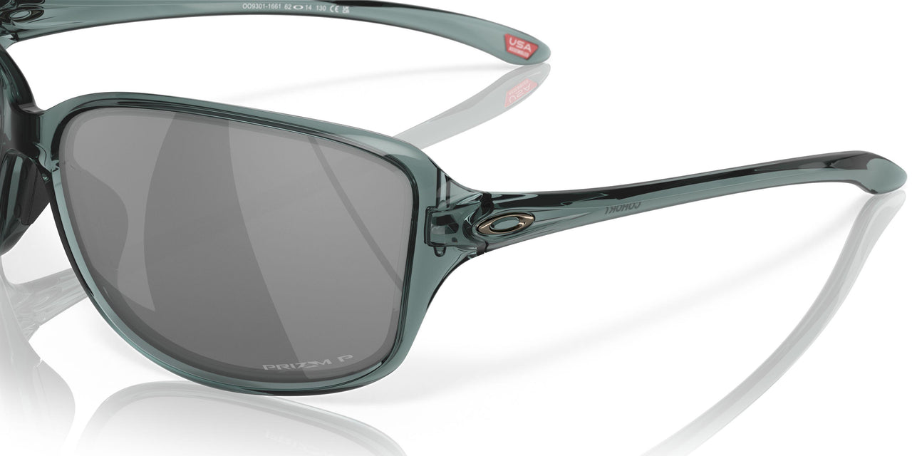 930108 - Prizm Black Polarized