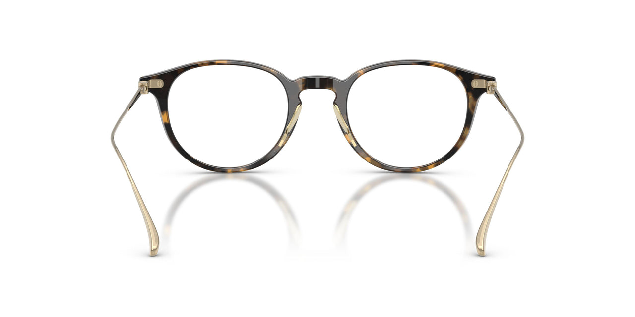 6207 - Tortoise