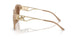 35553G - Brown - Brown Solid