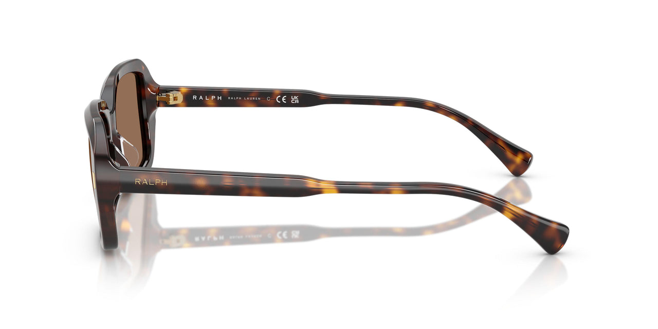 500373 - Tortoise - Brown