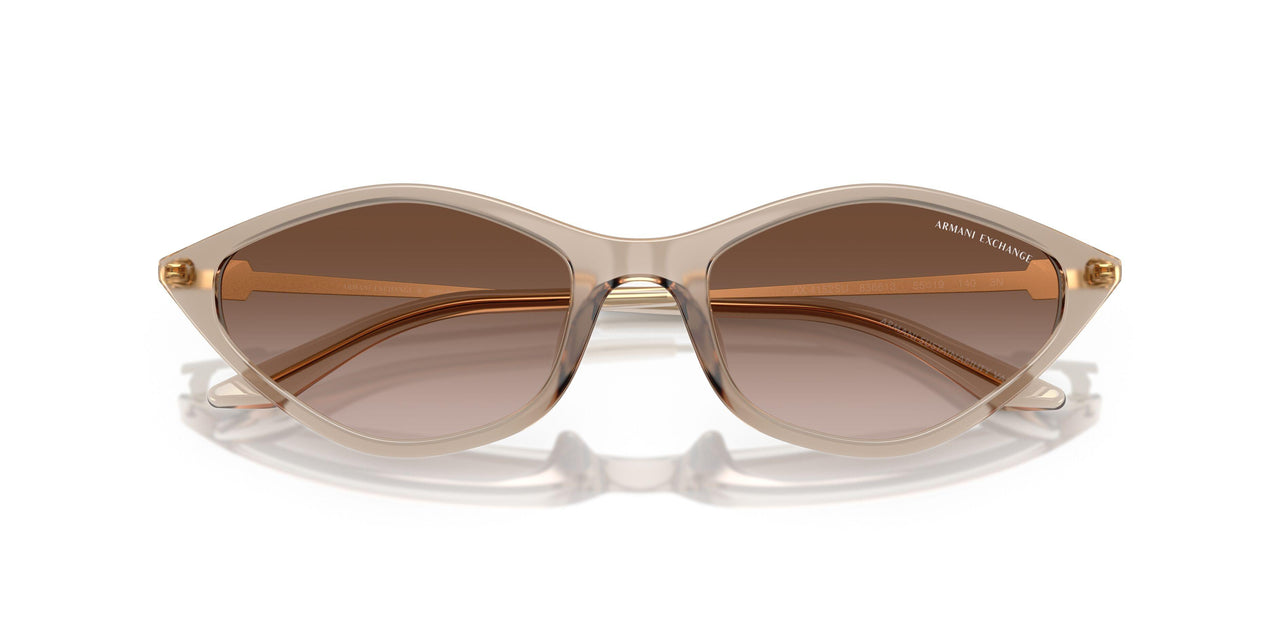 836613 - Brown - Gradient Brown