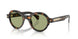 300682 - Tortoise - Green