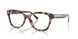 6307 - Tortoise
