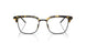 5062 - Tortoise