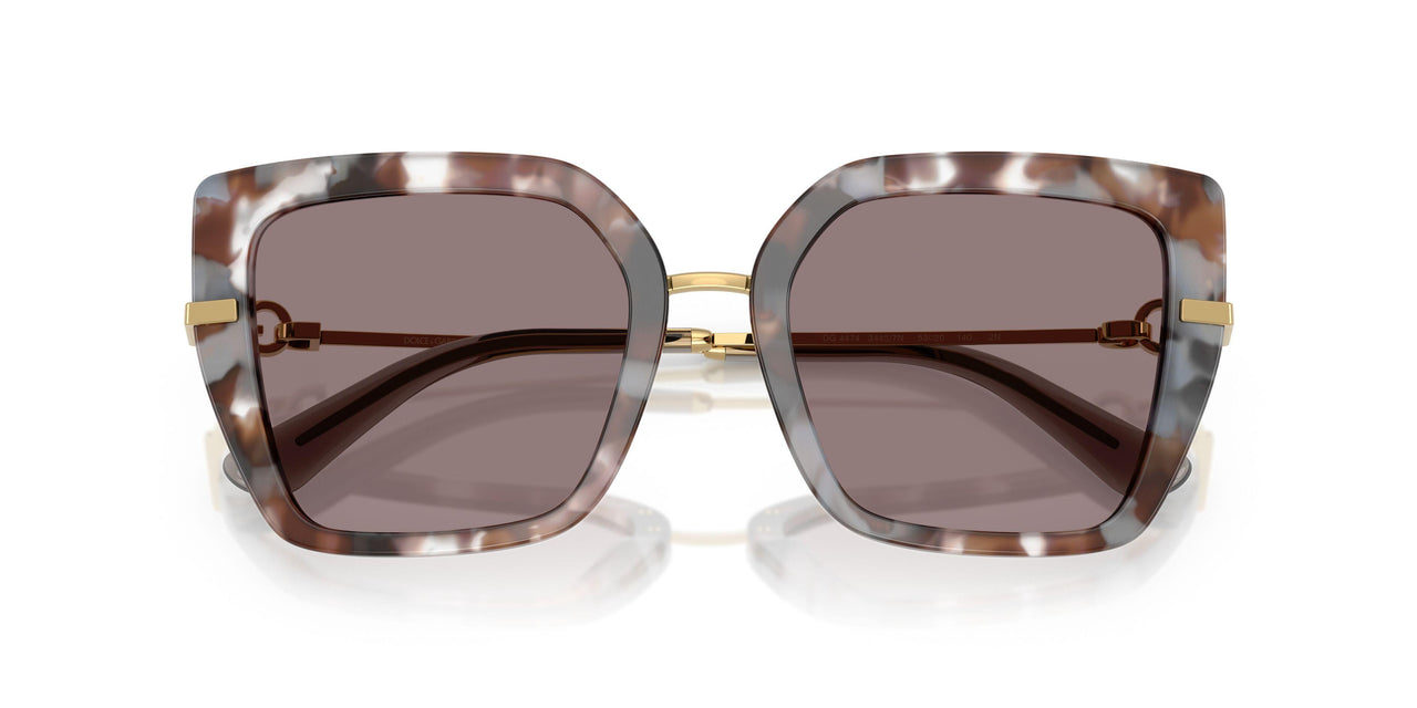 34457N - Tortoise - Purpe Brown