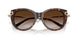 80153B - Tortoise - Brown Gradient