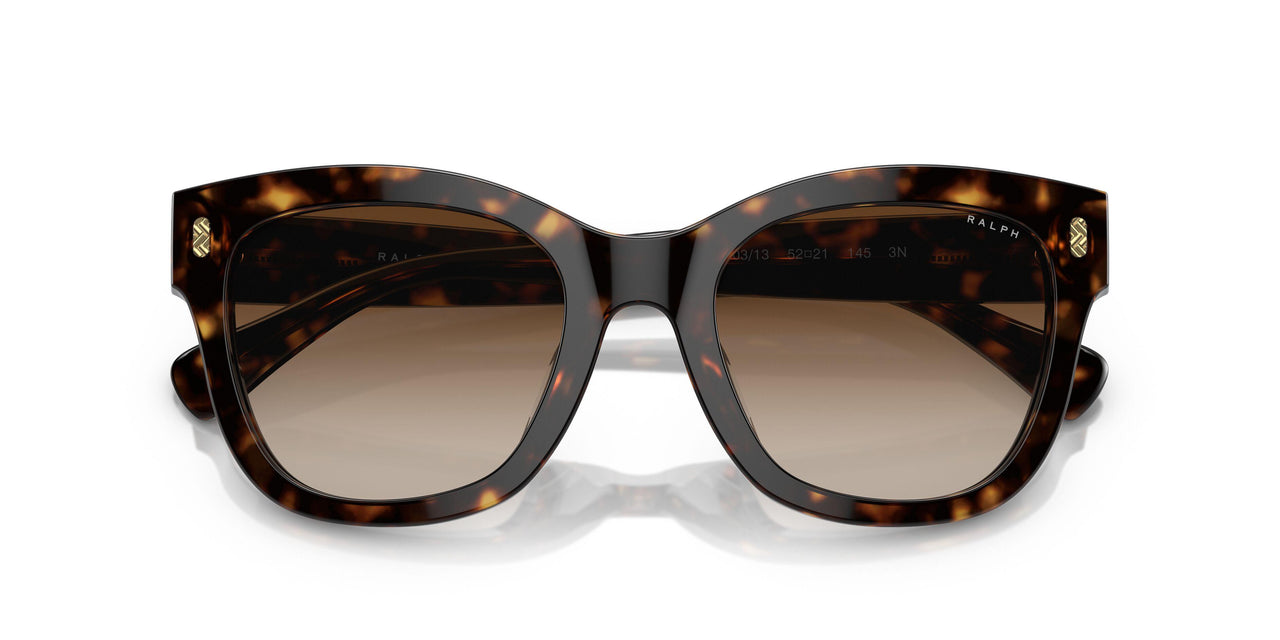 500313 - Brown - Gradient Brown