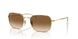 001/51 - Gold - Brown