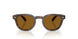 180153 - Brown - True Brown