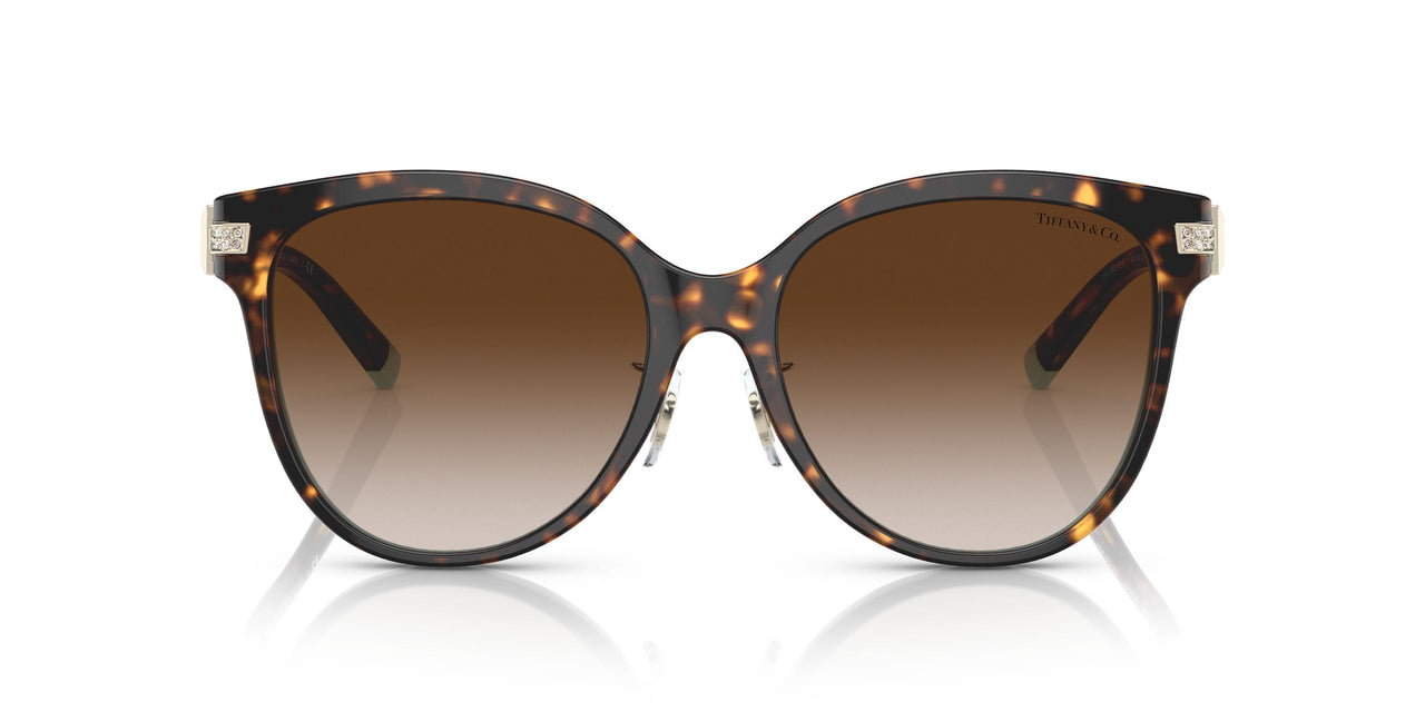 81343B - Havana - Brown Gradient