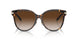 81343B - Havana - Brown Gradient