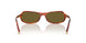 11P09Z - Brown - Dark Brown