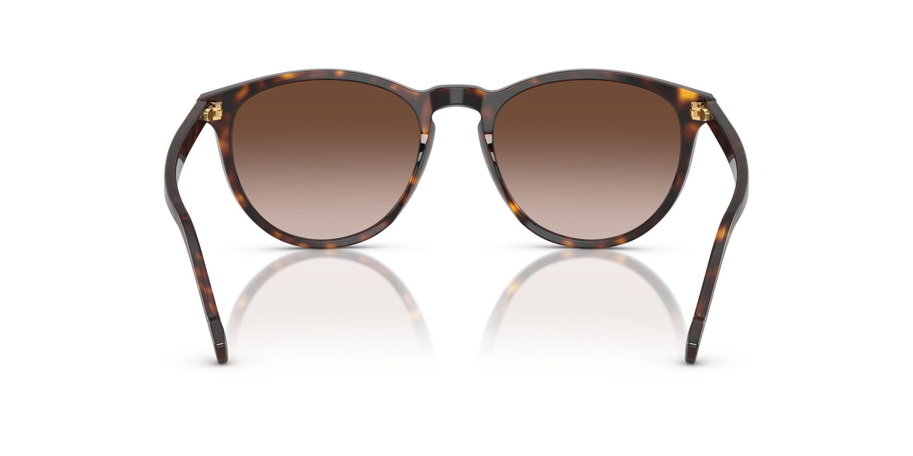 W65613 - Brown - Gradient Brown