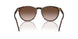 W65613 - Brown - Gradient Brown