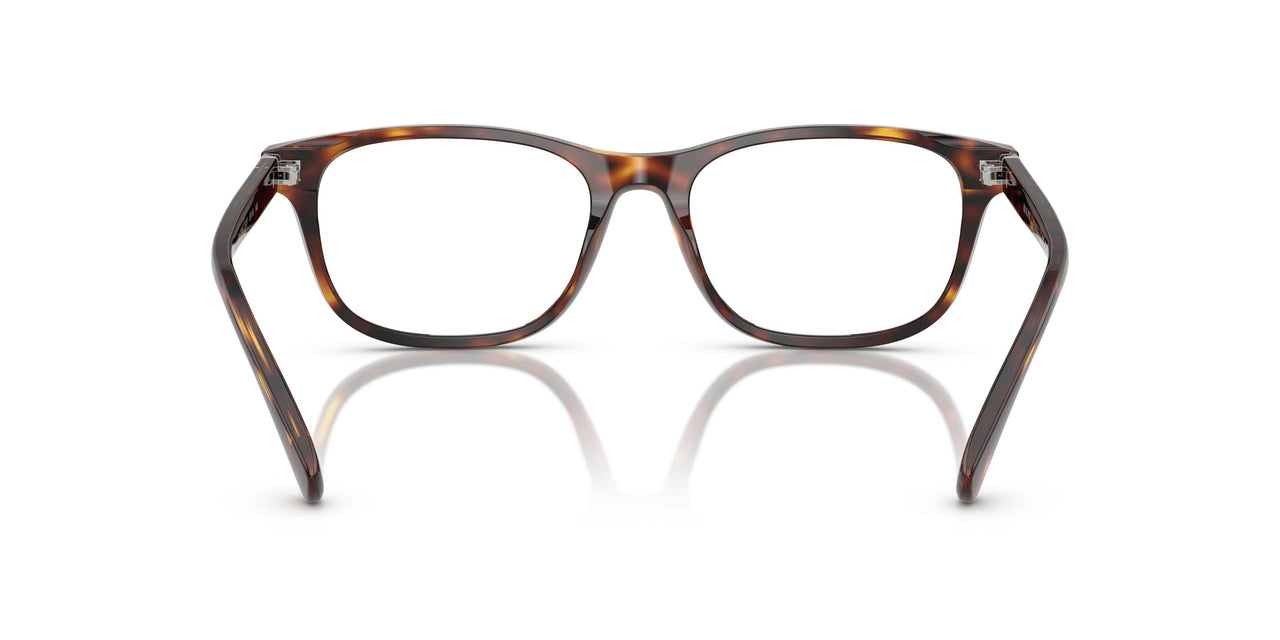 6137 - Tortoise