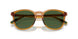 620971 - Yellow - Bottle Green