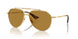 02/53 - Gold - Brown