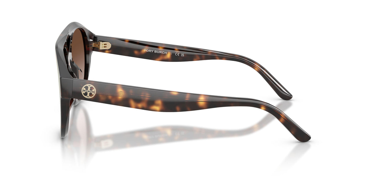 196413 - Tortoise - Brown Gradient