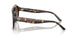 196413 - Tortoise - Brown Gradient