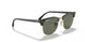 901/58 - Black - Crystal Green Polarized
