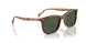 32029A - Brown - Dark Green Polar
