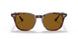 954/33 - Havana - Brown