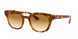 647551 - Yellow Light Havana - Clear Gradient Brown