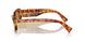 4BW2Z1 - Tortoise - Brown
