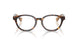 4216 - Brown