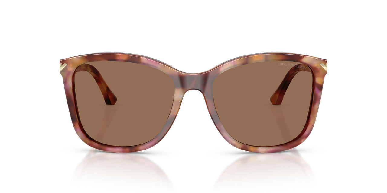 619673 - Red - Dark Brown