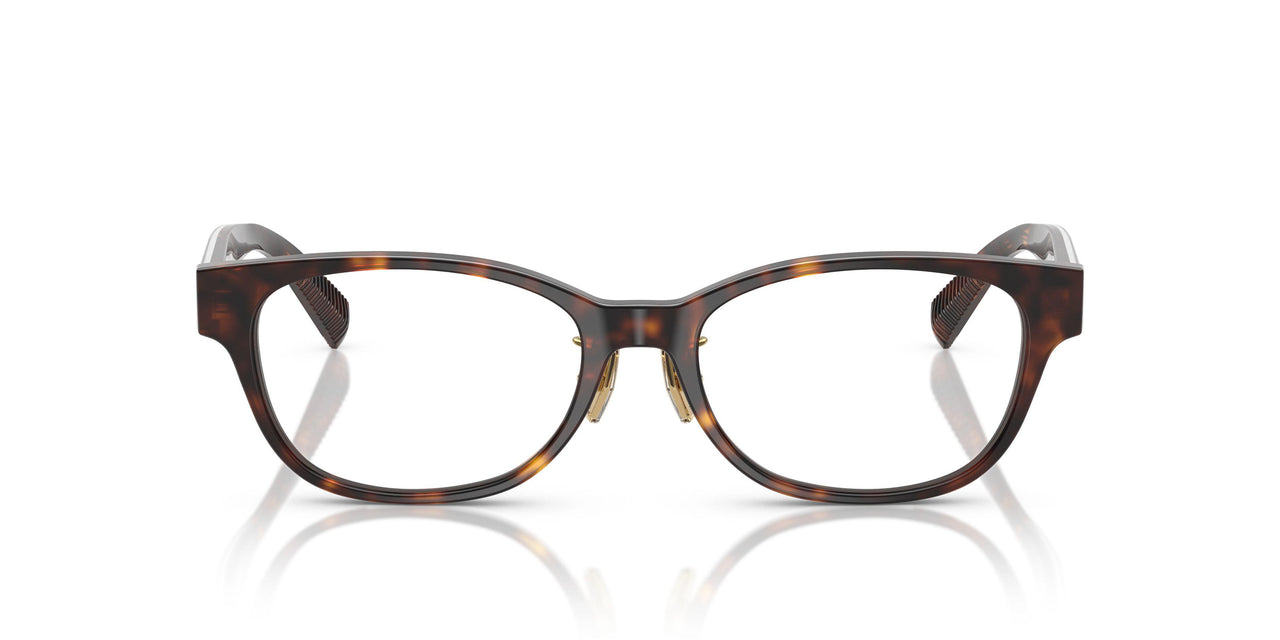 8015 - Tortoise