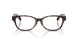 8015 - Tortoise