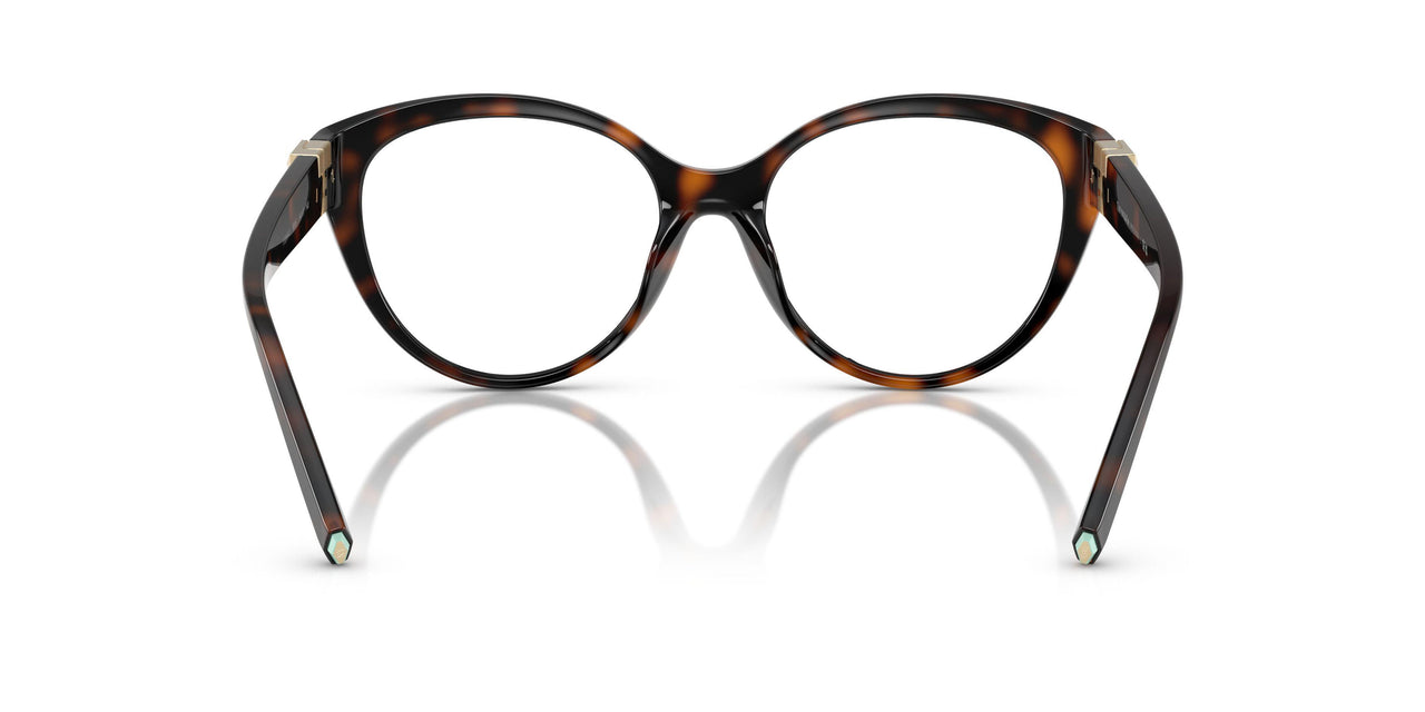 8015 - Tortoise