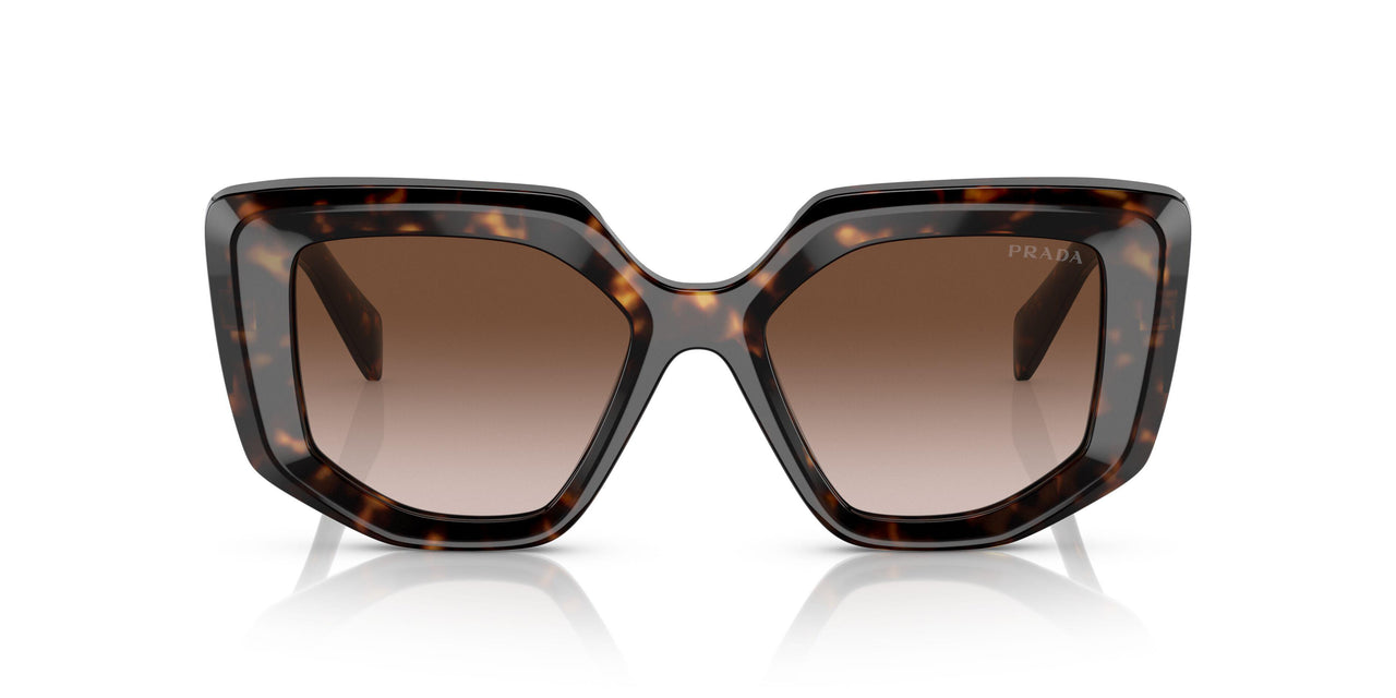 2AU6S1 - Havana - Brown Gradient